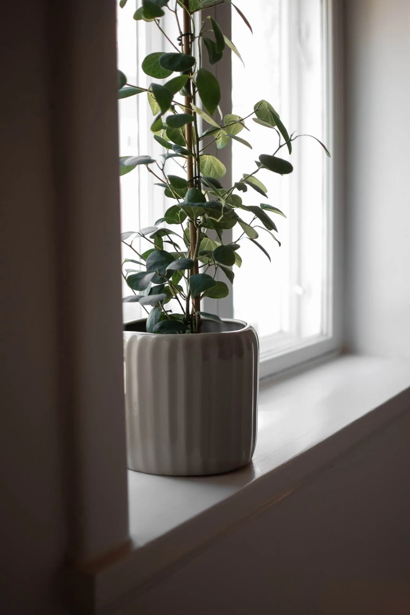 Ease pot, Shiny mole, Ø20x18 cm DBKD