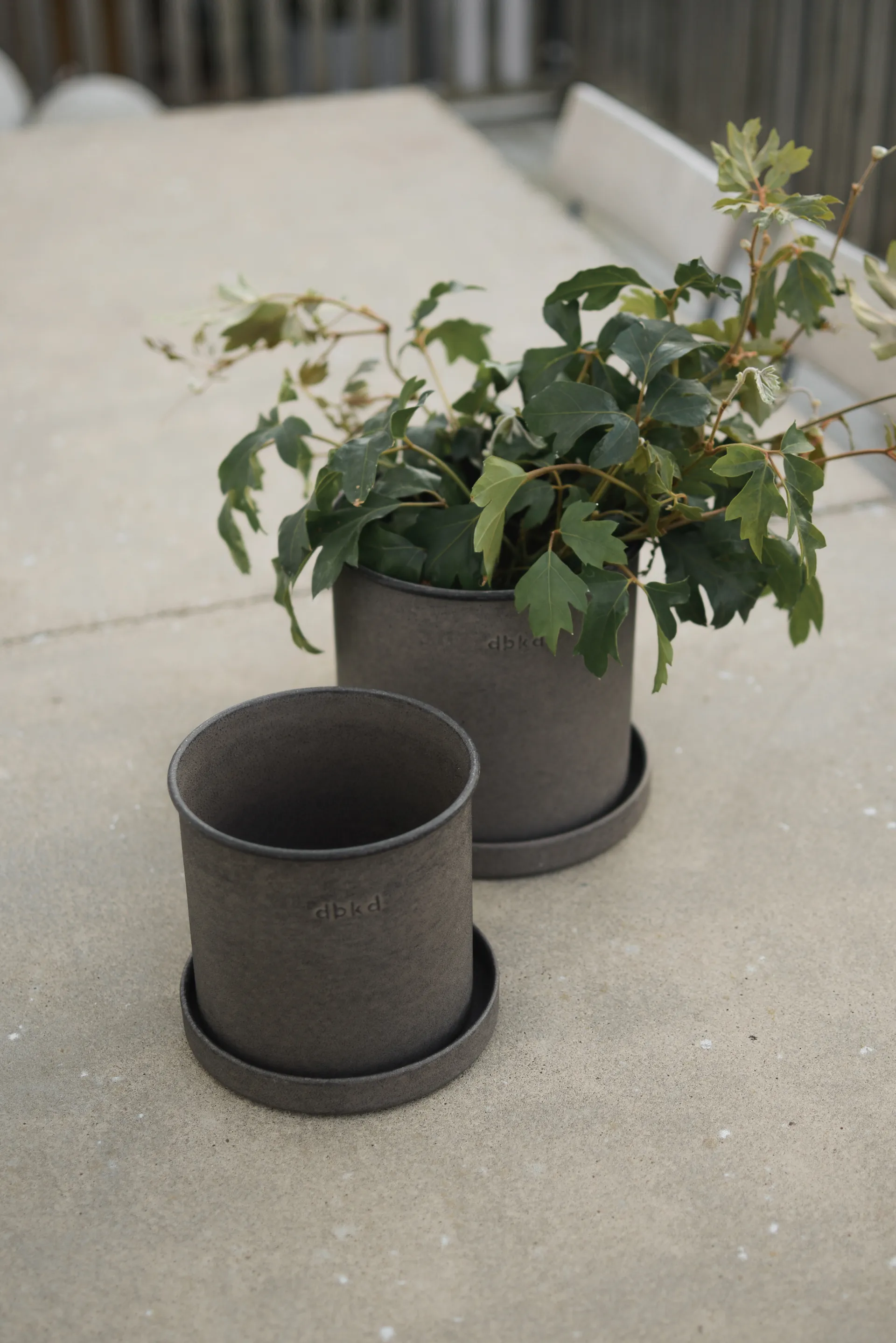 Plant pot small 2-pack, Brown DBKD