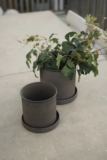 Plant pot small 2-pack - Brown - DBKD