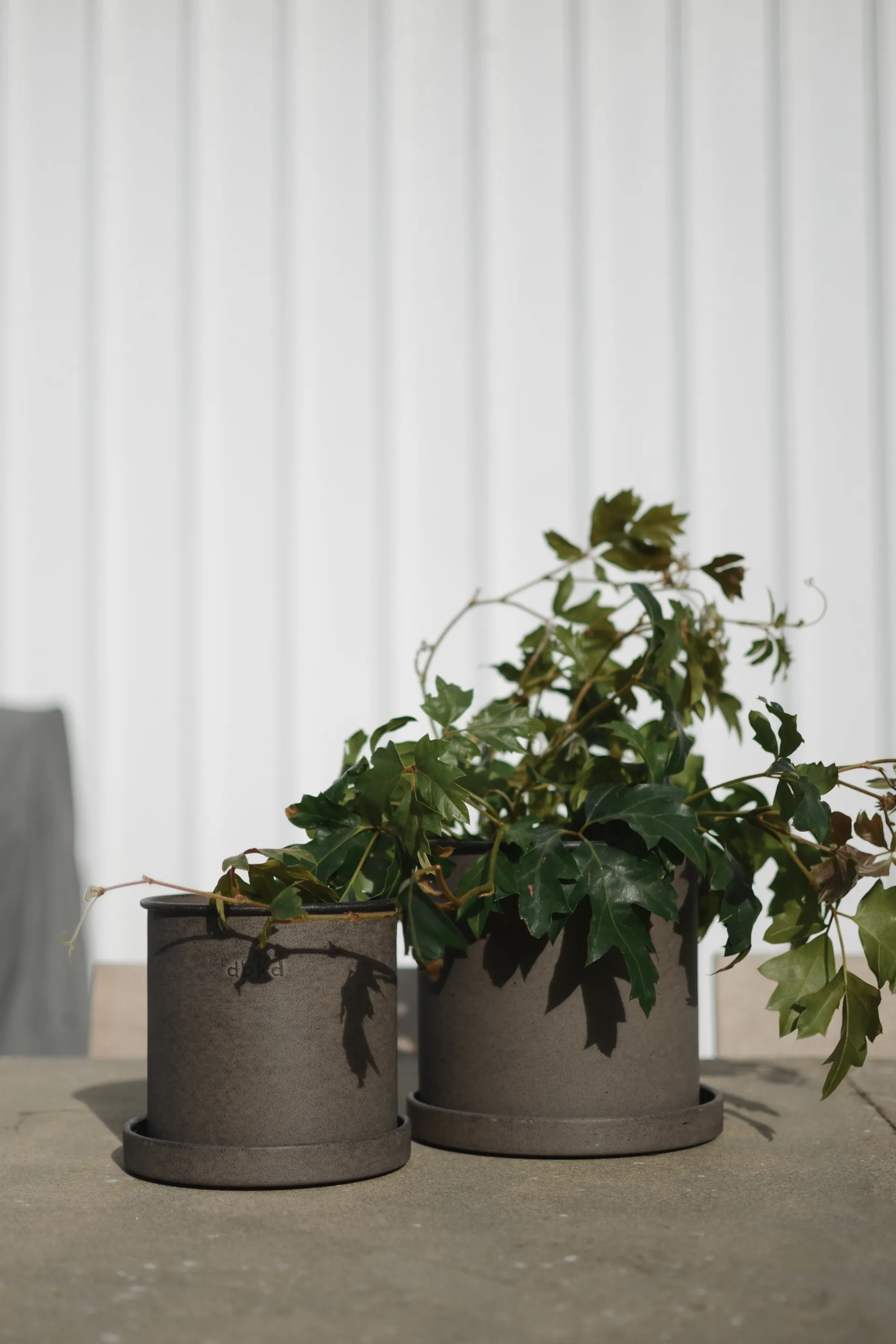 Plant pot small 2-pack, Brown DBKD