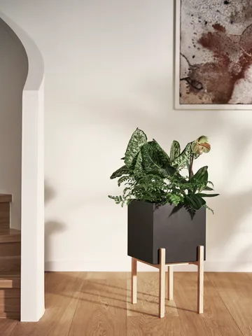 Botanic pedestal flower pot - Black-box - Design House Stockholm