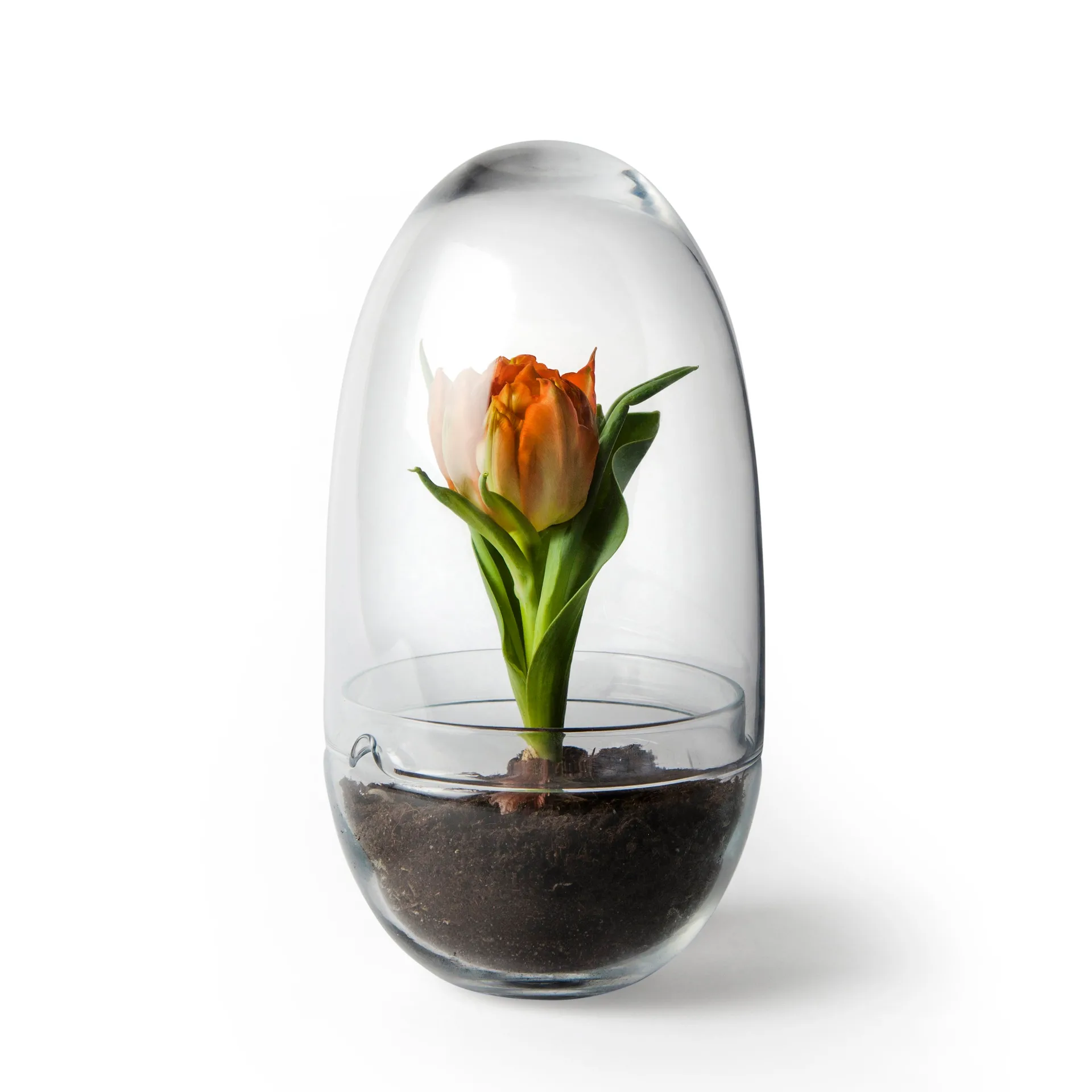 Grow greenhouse, Medium Ø11 cm Design House Stockholm