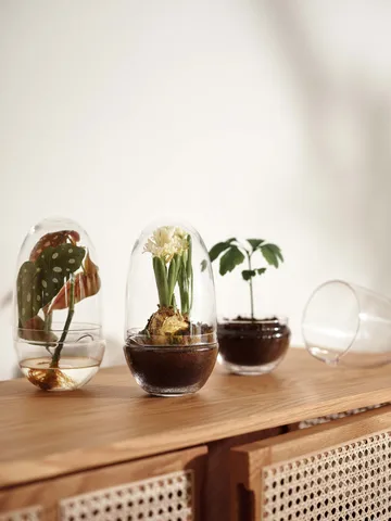 Grow greenhouse - Medium Ø11 cm - Design House Stockholm