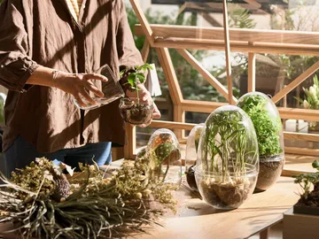 Grow greenhouse - Medium Ø11 cm - Design House Stockholm