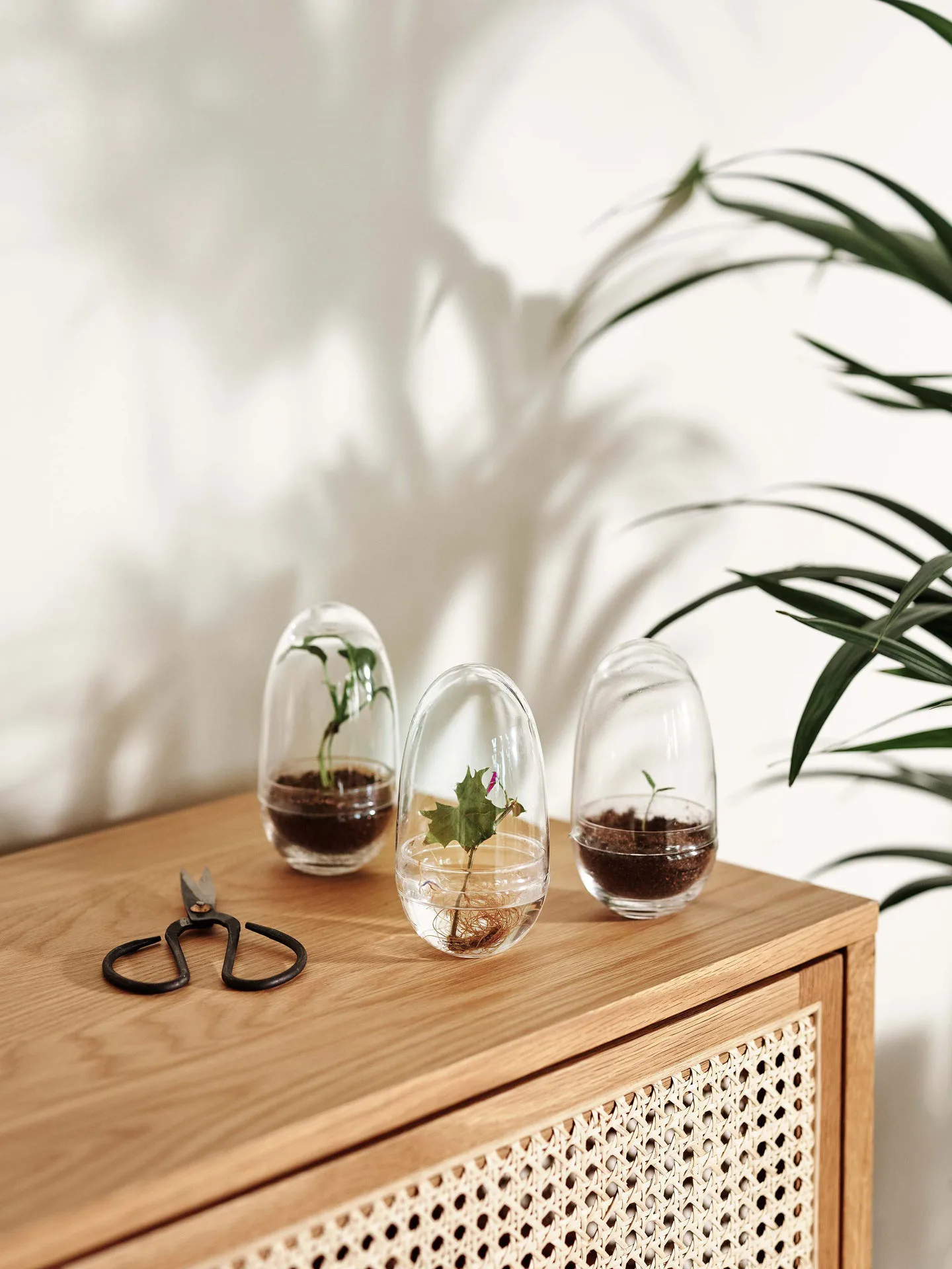 Grow greenhouse, small Ø8 cm Design House Stockholm