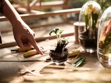 Grow greenhouse - small Ø8 cm - Design House Stockholm