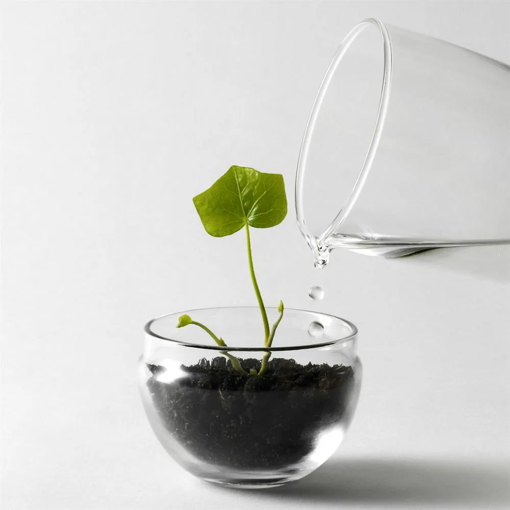 Grow greenhouse, small Ø8 cm Design House Stockholm