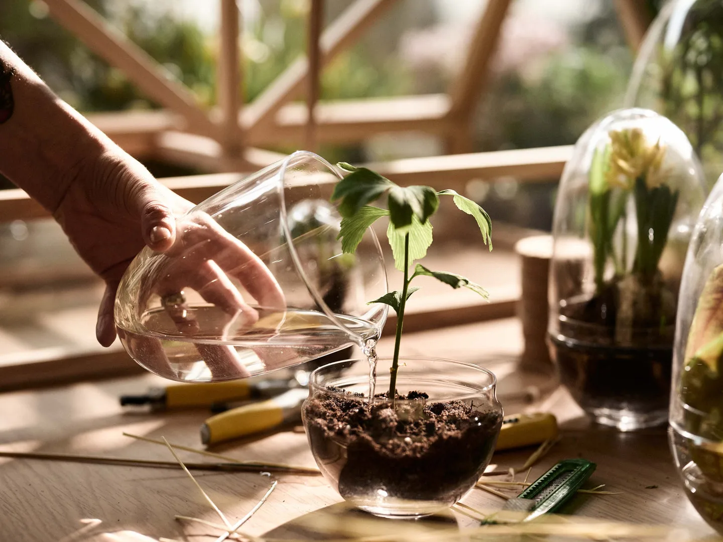 Grow greenhouse, x-large Ø20 cm Design House Stockholm