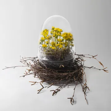 Grow greenhouse - x-large Ø20 cm - Design House Stockholm
