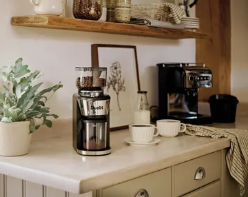 Dualit coffee grinder 31 cm - Black - Dualit
