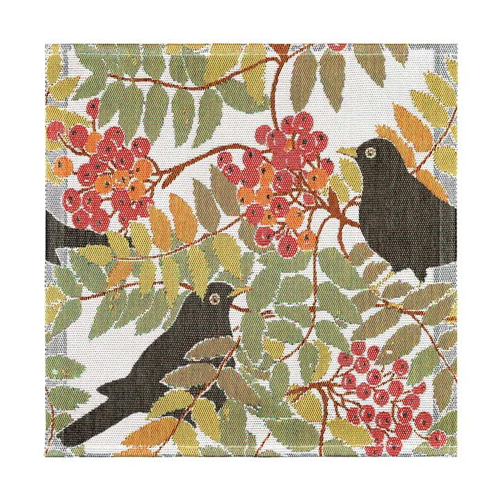 Koltrast fabric napkin 35x35 cm - Multi - Ekelund Linneväveri