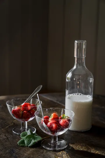 Ernst bowl bubbly glass 2-pack - Clear - ERNST