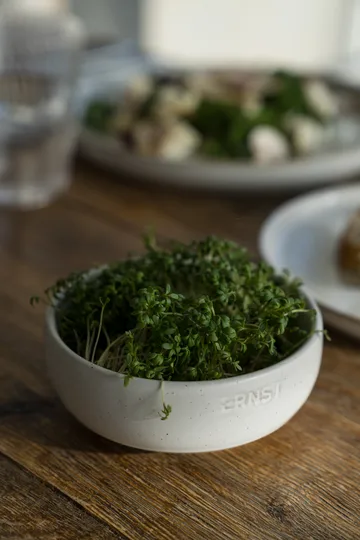 Ernst bowl - White-natural base, Ø11 cm - ERNST