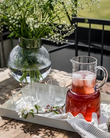 Ernst jug 2.3 l - Clear - ERNST