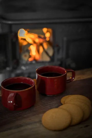 Ernst mulled wine cup small 10 cl - Red - ERNST