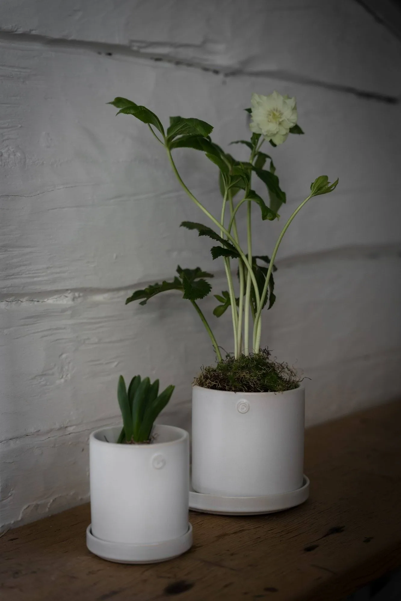 Ernst pot with saucer, White, Ø10x11 cm ERNST