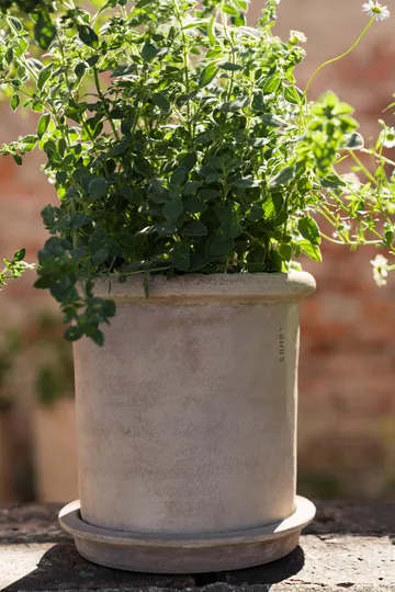 Ernst terracotta pot with saucer - Ø20x20 cm - ERNST