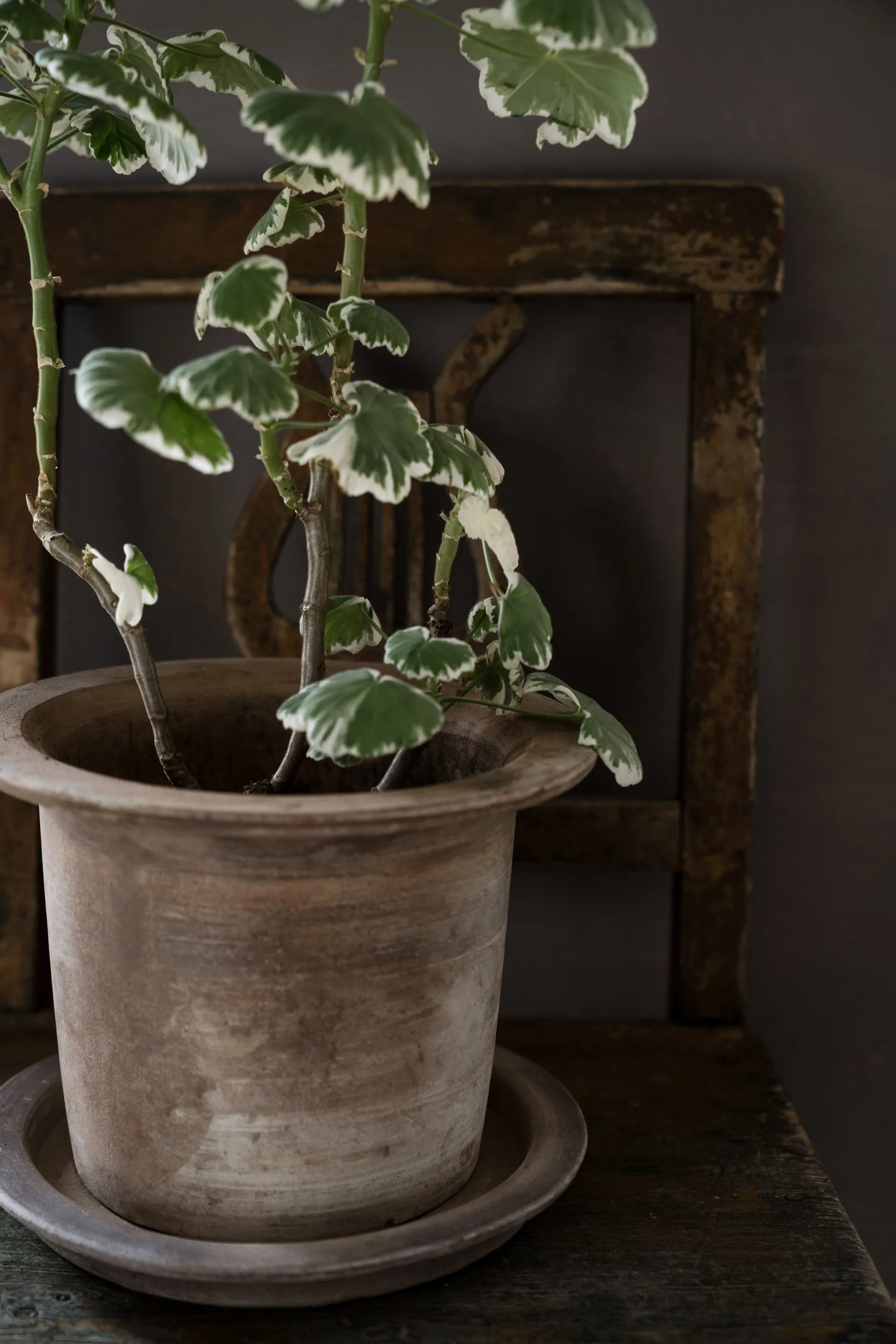 Ernst terracotta pot with saucer, Ø24x17 cm ERNST