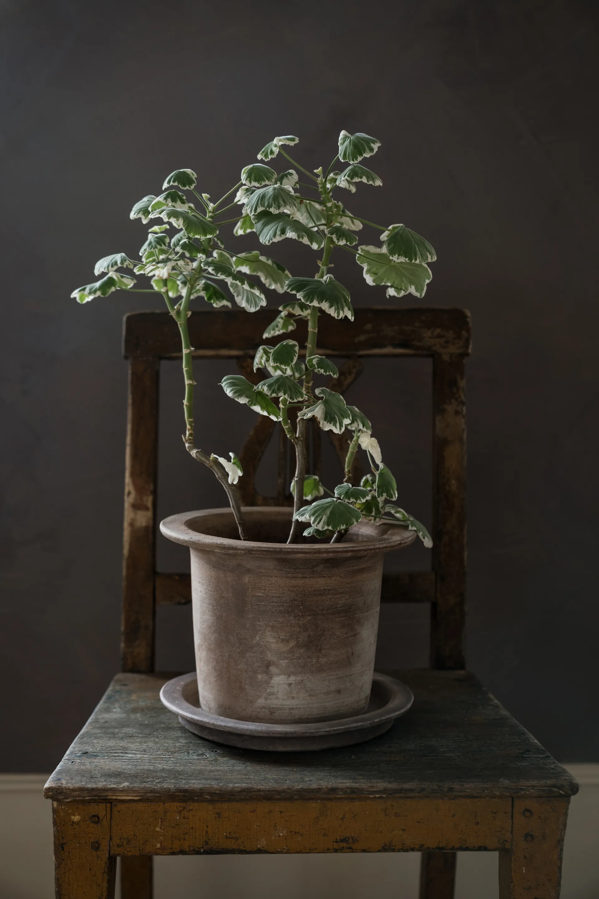 Ernst terracotta pot with saucer, Ø24x17 cm ERNST