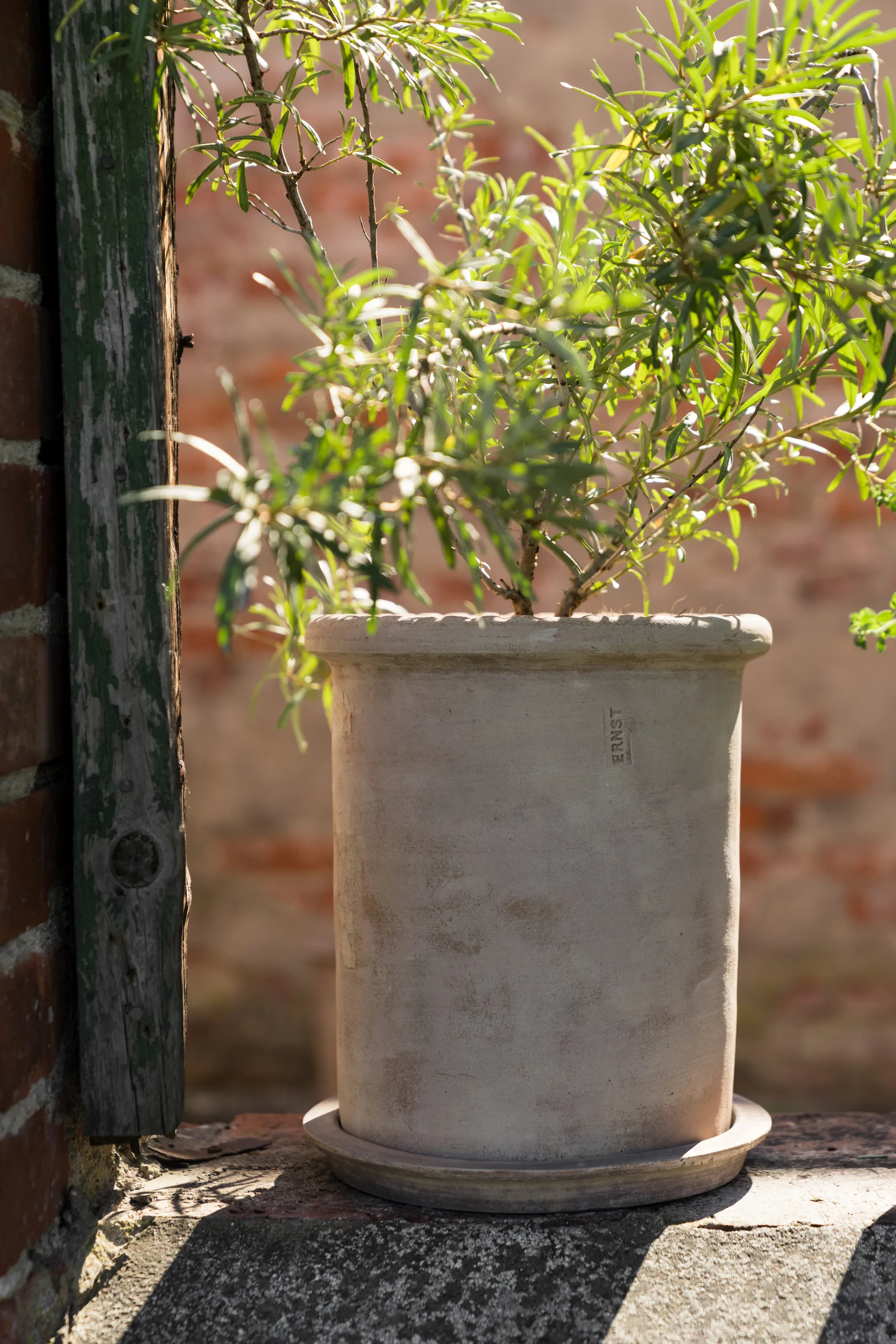 Ernst terracotta pot with saucer, Ø25x28 cm ERNST
