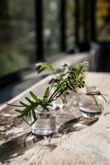 Ernst vase gift set 3 pieces - Clear - ERNST