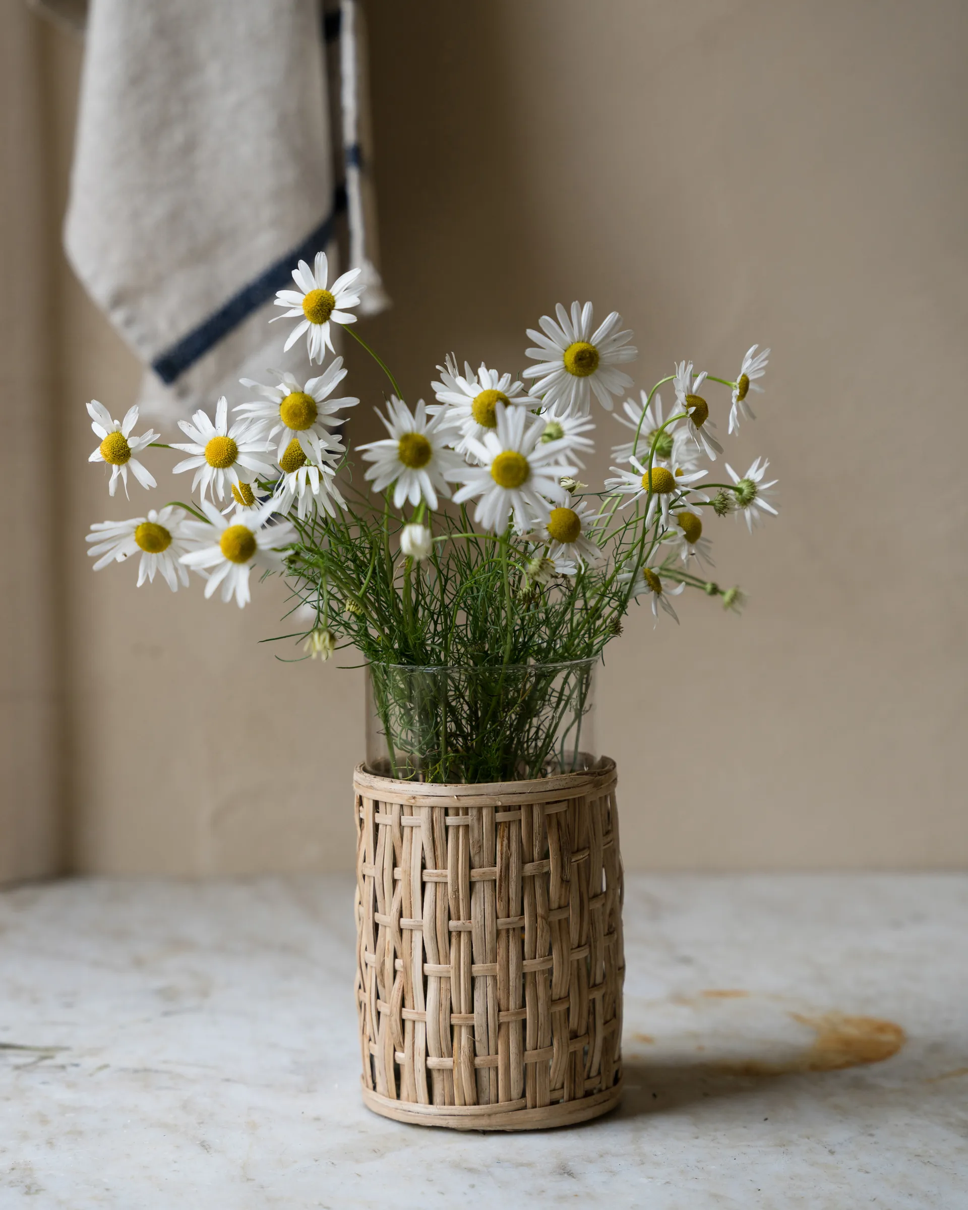 Ernst vase/tealight holder in basket, Nature, Ø10x18 cm ERNST