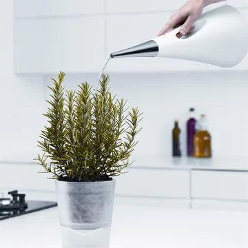 AquaStar Watering can - white - Eva Solo