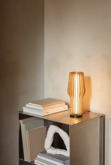 Eva Solo Radiant LED rechargeable lamp - Oak - Eva Solo