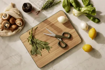 Green tool kitchen scissors 20 cm - Green - Eva Solo