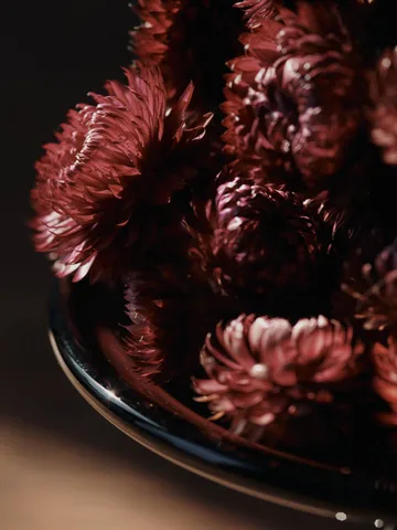 Damo glass centerpiece bowl Ø21 cm - Dark Grape - Ferm Living