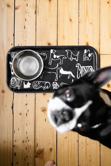 Dogs tray 22x43 cm - Black-white - Fine Little Day