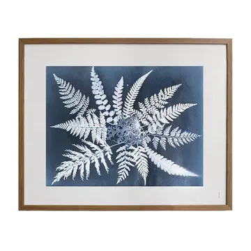 Fern star poster - 40x50 cm - Fine Little Day