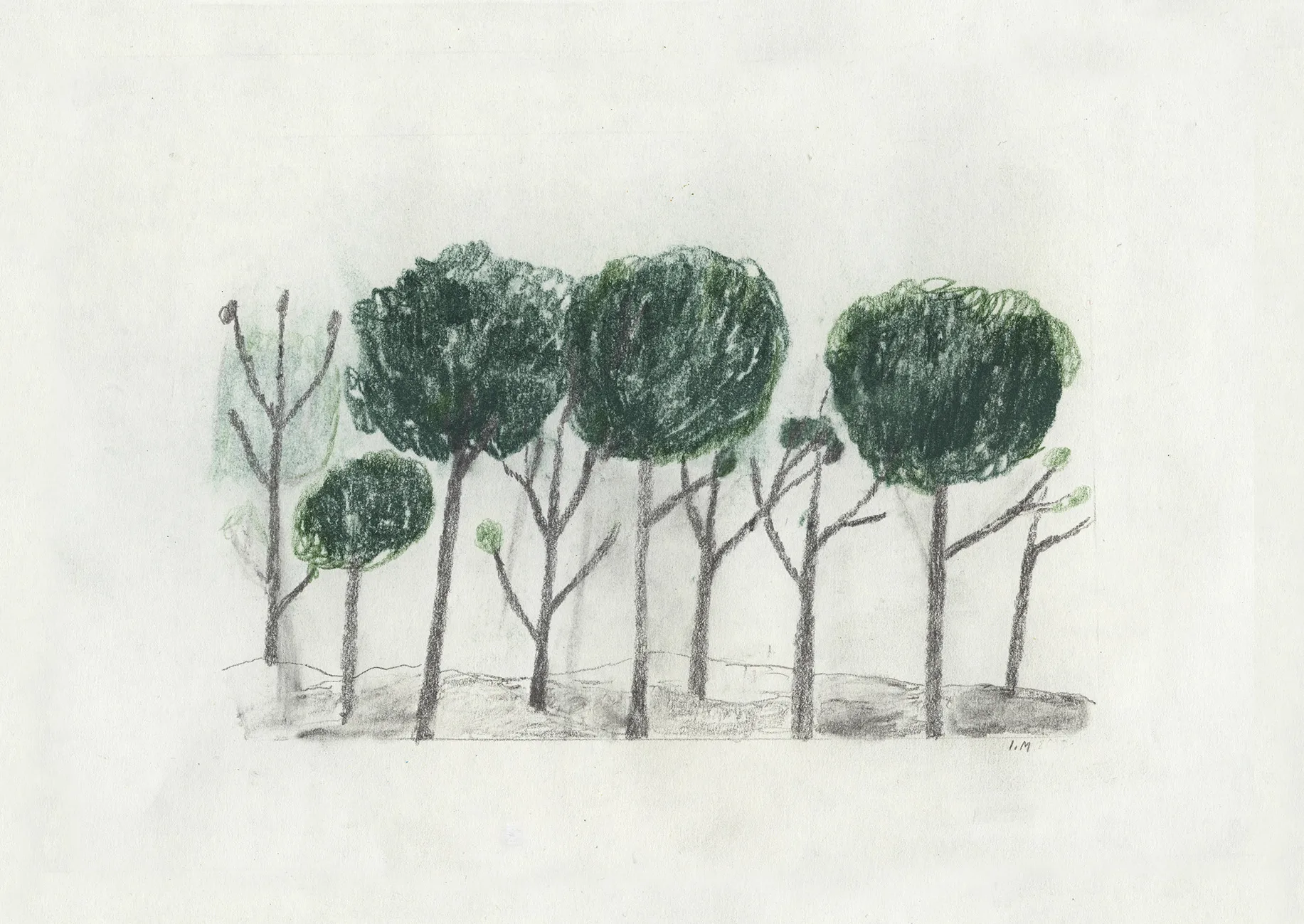 Trees poster 50x70 cm, Black- off white Fine Little Day