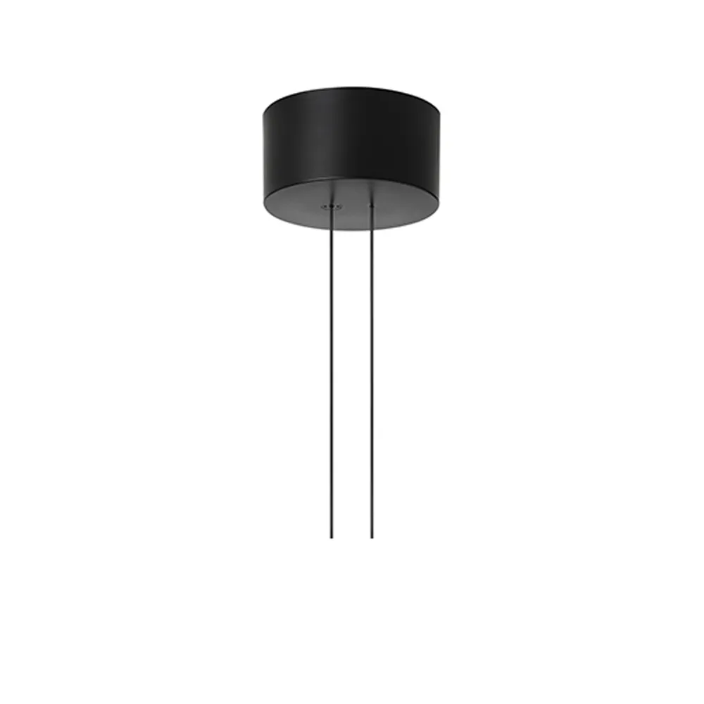 Arrangement Rose ceiling cup, Black, big Flos