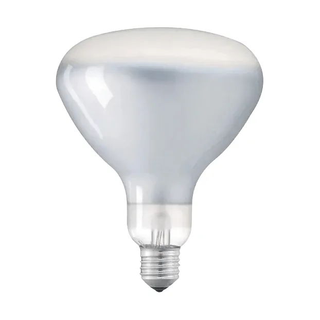 LED R125 light source E27 - 2700K 1180 lm 12W - Flos