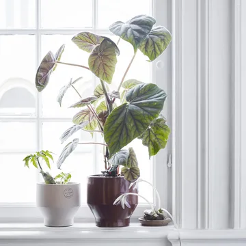 Edge pot (indoor) Ø18 cm - burned red - Fritz Hansen