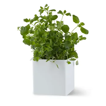 Flex Box small 10.5 cm - white - Gejst