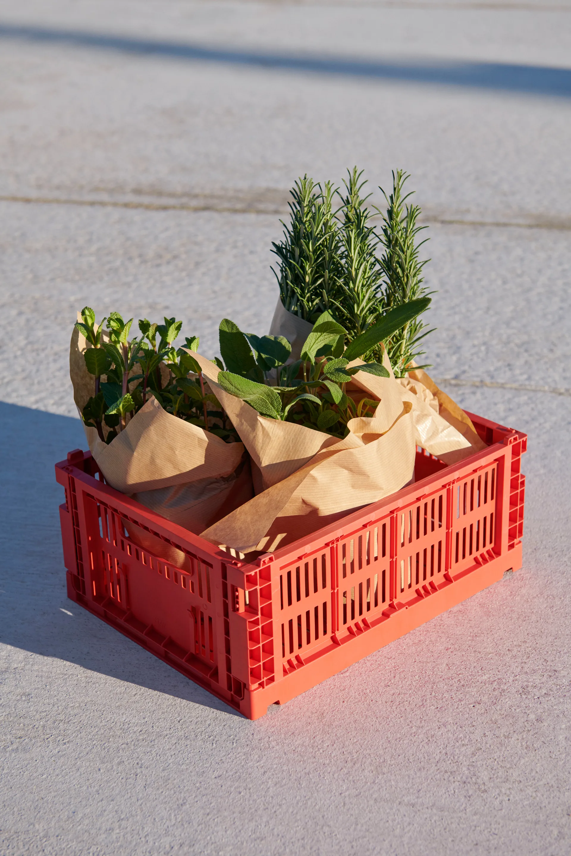 Colour Crate M 26.5x34.5 cm, Red HAY