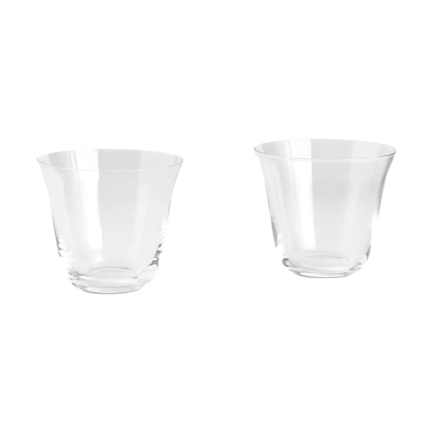 Curve Tumbler drinking glass 2-pack, Clear HAY