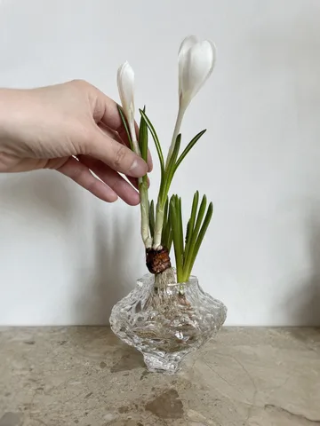 Canyon Mini vase 8 cm - Clear - Hein Studio