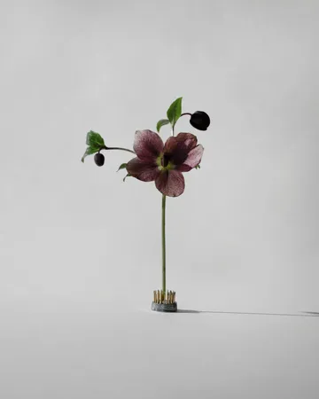 Kenzan vase - Ø2.3 cm - Hein Studio