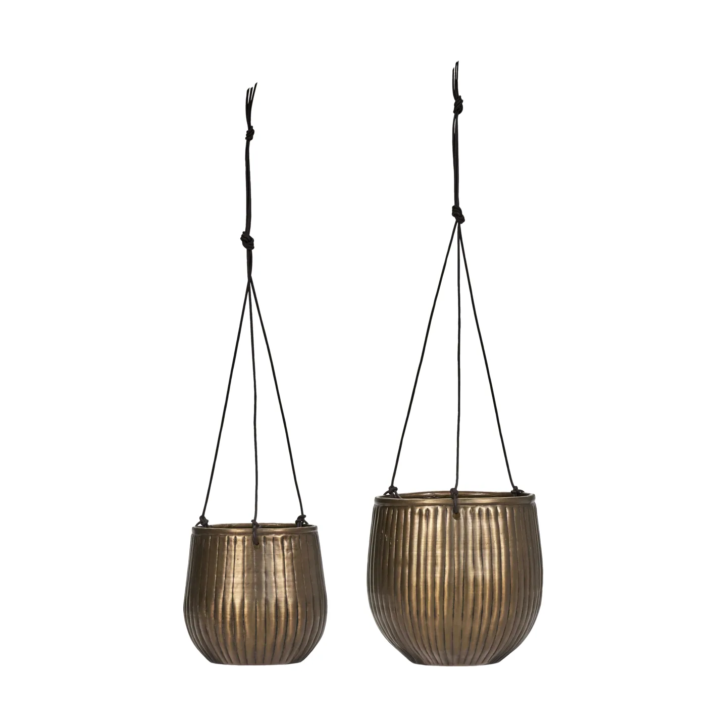 Plan hanging pot 2 parts, Golden House Doctor