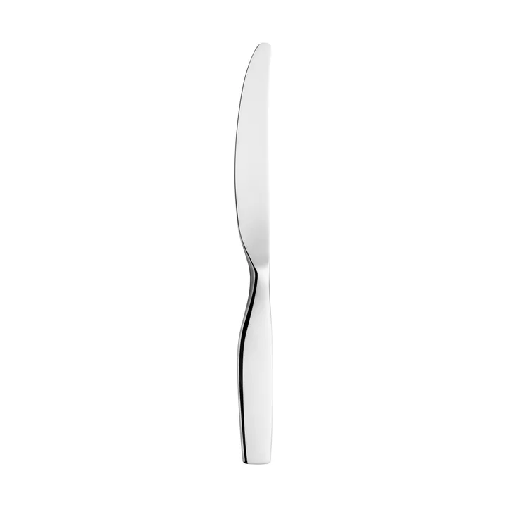 Citterio 98 dinner knife - Blank - Iittala