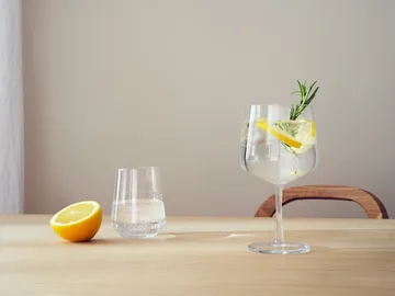 Essence glass set 24 pieces - Iittala