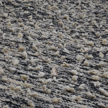 Woolly rug - Black/white, 170x240 cm - Kateha