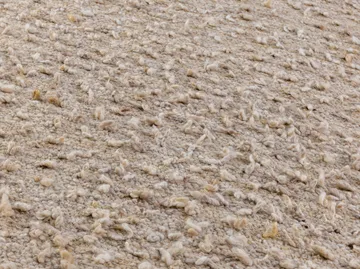 Woolly rug - White 170x240 cm - Kateha