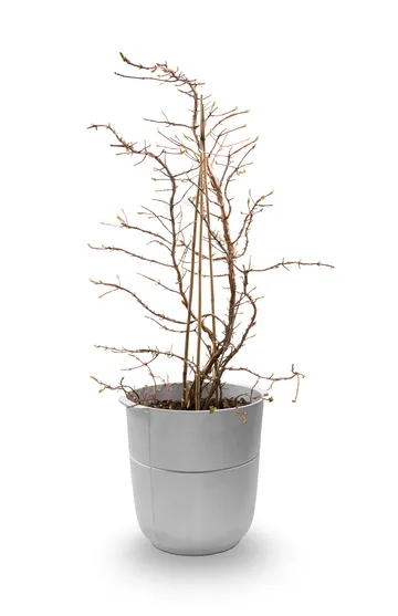 Linea pot no 1 high - Aluminium - KORBO