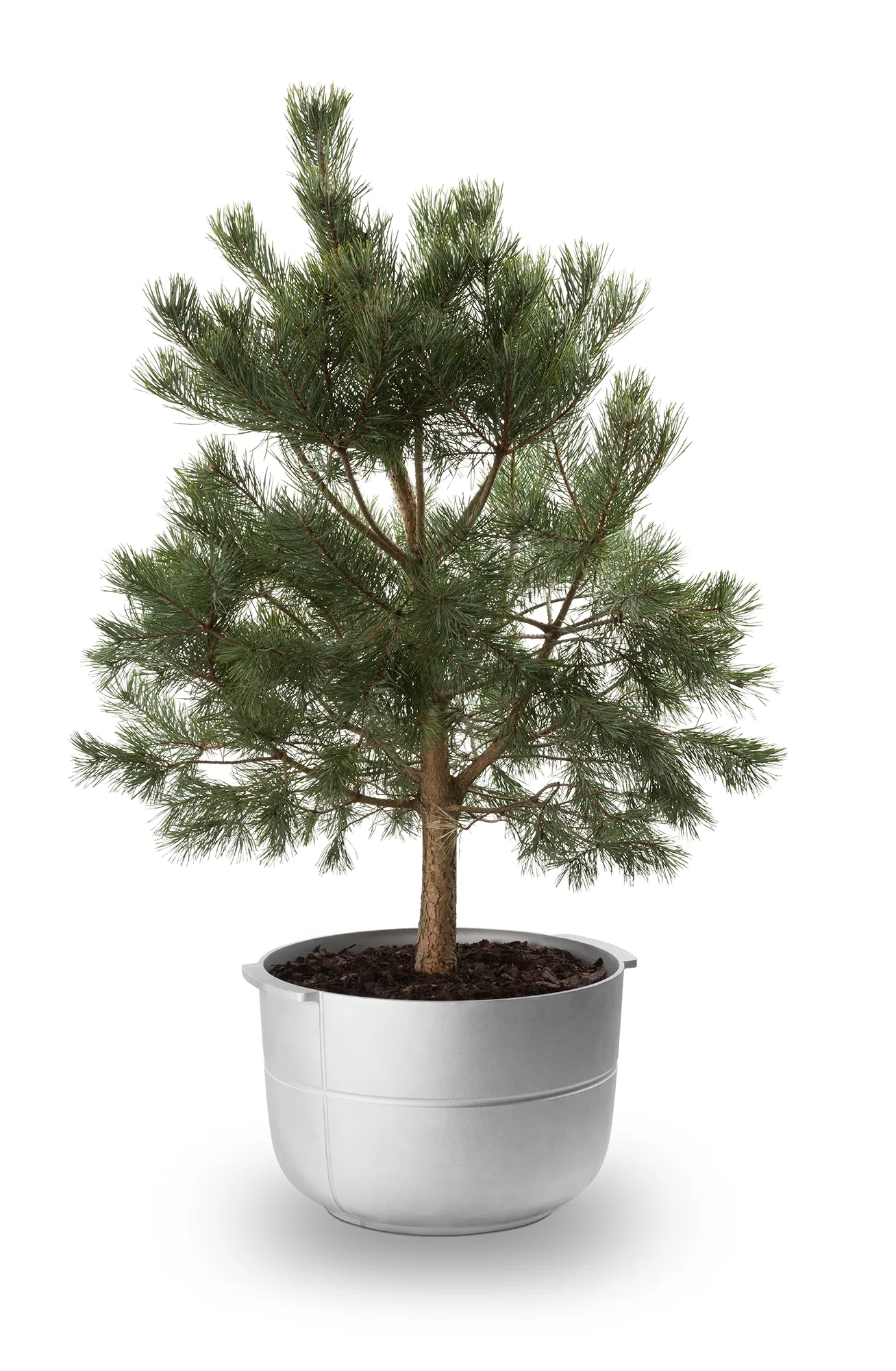 Linea Pot No. 2 Medium, Aluminium KORBO