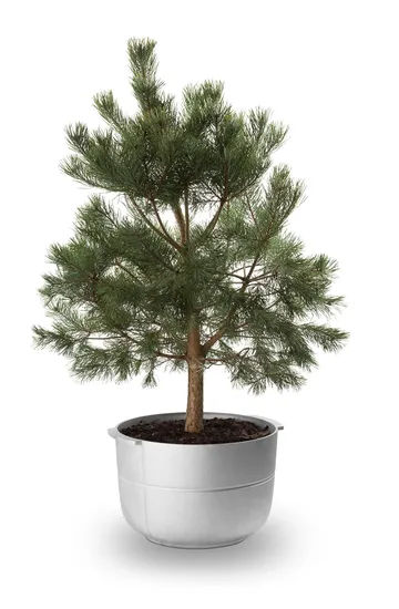 Linea Pot No. 2 Medium - Aluminium - KORBO