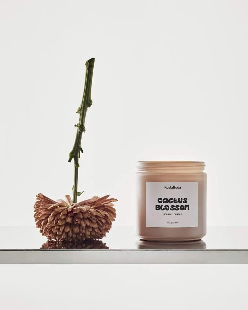 Mind scented candle, Cactus Blossom, 330 g Kosta Boda